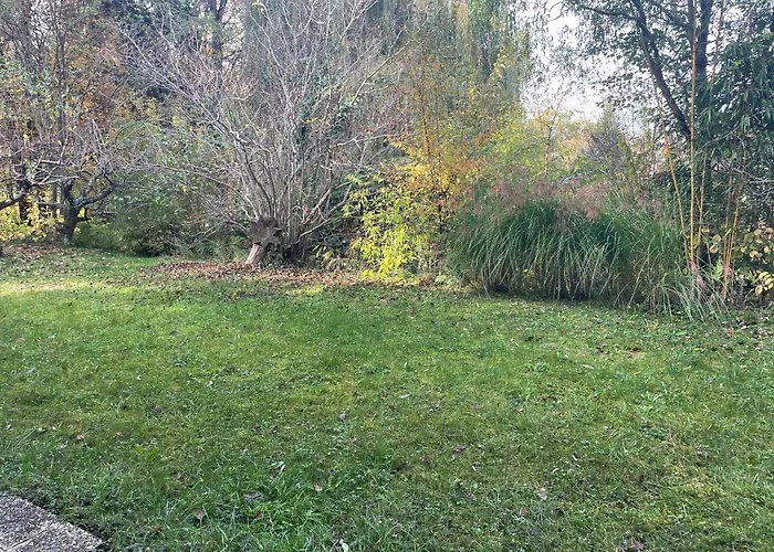 Ruhiges Im Gruenen Διαμέρισμα